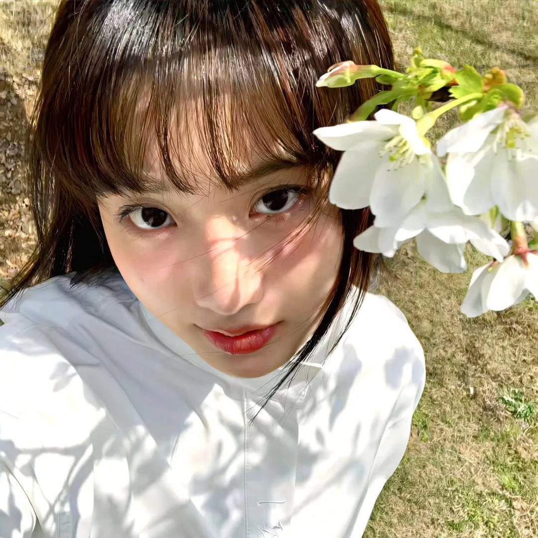 北极世界末日